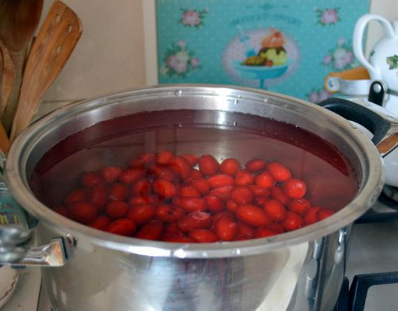 kızılcık şurubu 1